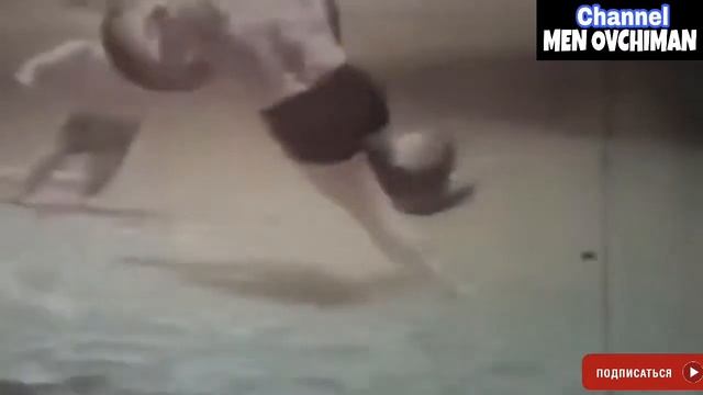 Katta Ilonlarning Insonlarga Hujumi. ==Топ нападения питона  человека, ==Attack  Human  Giant  Anac