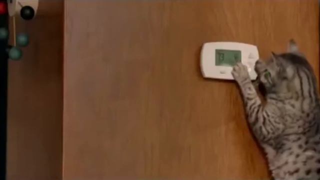 Реклама кондиционеров Mitsubishi Electric. М-Климат Севрис