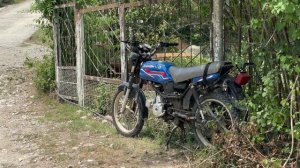 Стильный и недорогой забор своими руками. Дача. Стройка. Ремонт