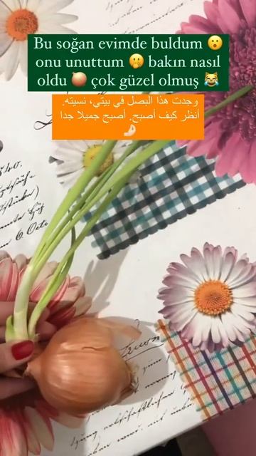 نسيت حبة بصل فوق التلاجة شوفوا كيف صارت 🧅😱 смотреть онлайн