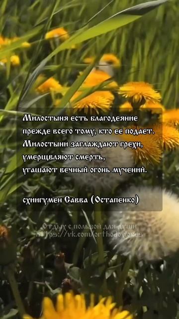 Доброе утро! 🤍 схиигумен Савва (Остапенко) смотреть онлайн