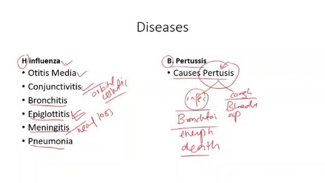 microbiology lecture #4. Gram negative coccobacilli смотреть онлайн