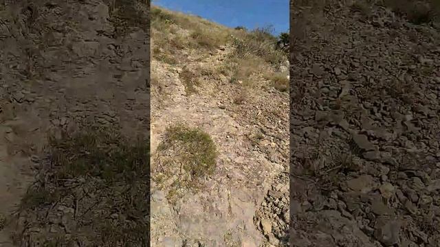 Прогулки по горе Алчак-Кая каньон с пещерами Судак в Крыму смотреть онлайн