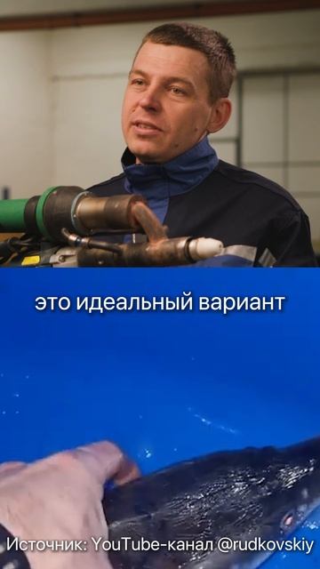 Бизнес в гараже! Сколько можно заработать на разведении рыбы? #бизнес #узв #заработок смотреть онлайн