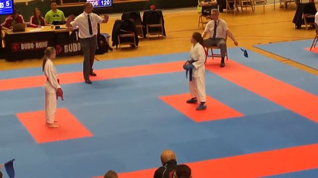 Swedish International Karate Cup 2013