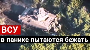 ВСУ в панике пытаются бежать