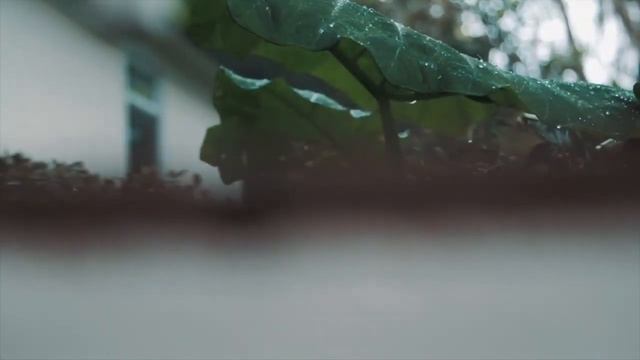 Сила смотреть онлайн