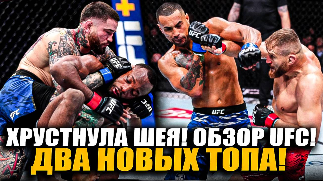 ИЗБИЛИ ЧЕМПИОНОВ! ОБЗОР UFC Леон Эдваодс - Шон Брэди, Ян Блахович - Карлос Ульберг. Кутателадзе. смотреть онлайн