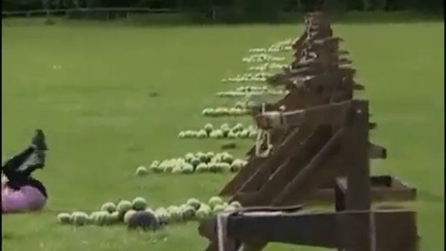 Арбузный хедшот Not Vine