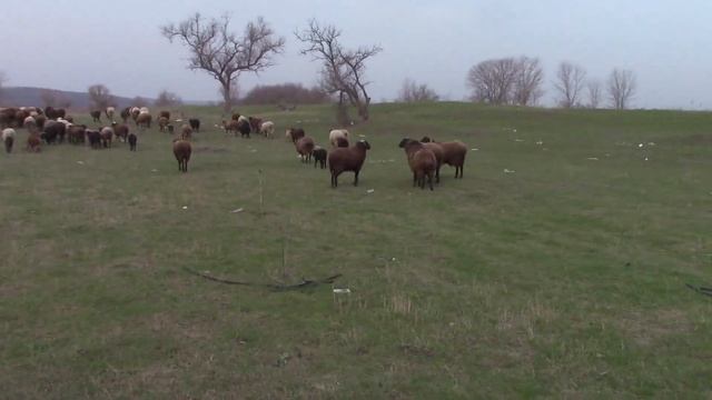 ! Обычный день !