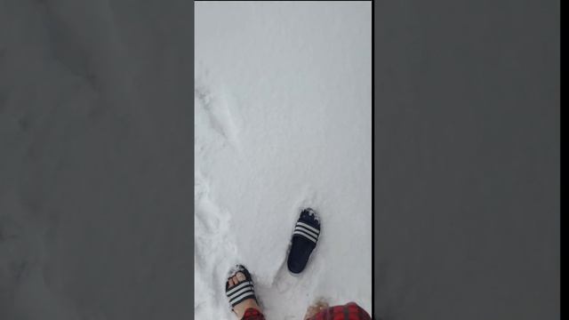 2024 02 18 СПА АВРОРА 4К смотреть онлайн