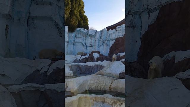 4 января 2023 г. смотреть онлайн