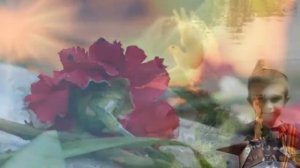 Гвоздика (А.Чугайкиной) исп. М.Зорина (Мельник), аранж.  А.Зорина