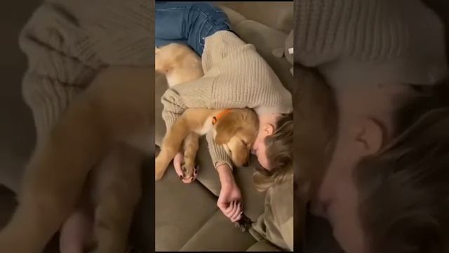 На это можно смотреть вечно...🥰🐕🐕🐕(видео с интернета) смотреть онлайн