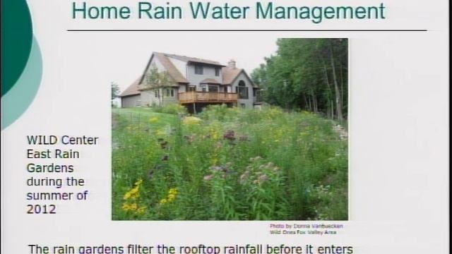Rain Garden Talk смотреть онлайн