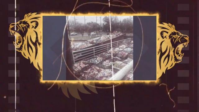 Desperate Times: Hundreds Of People Fighting And Dumpster Diving For Spoiled Food смотреть онлайн