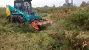 Mini pá carregadora Sunward SWL3220