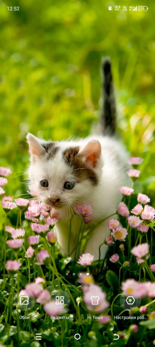 🍉 арбузик🍉