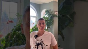 Закоренелый цветочник в прямом эфире. Запись прямого эфира от 23.03.25 в честь пятилетия ютуб канала