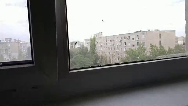 Лифт МЛЗ с обновлённым купе, Г/П 320 кг, V=0,71 м/сек (ул. Кожемяки, 1, подъезд 4, г Днепропетровск смотреть онлайн