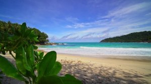 Релакс музыка - Тропический пляж