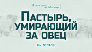 Проповедь: "Ев. от Иоанна: 57. Пастырь, умирающий за овец" (Алексей Коломийцев)