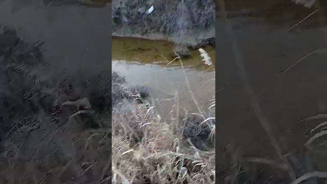 мое хозяйство!! кролик! первое видео!! подпишись! смотреть онлайн