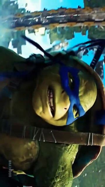 Ninja Turtles 4k clips | Follow for more clips#scottedkins #trending смотреть онлайн