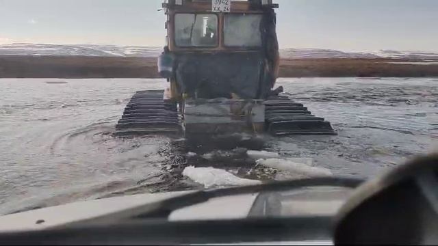 таймыр смотреть онлайн