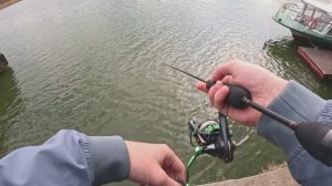 Рыбалка на микроджиг в Ростове. Набережная Ростова. Разнорыбица: бычок, окунёк и жерешок.