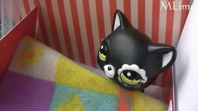 Lps~Адьос сеньорита {on mep} for lemon cat смотреть онлайн