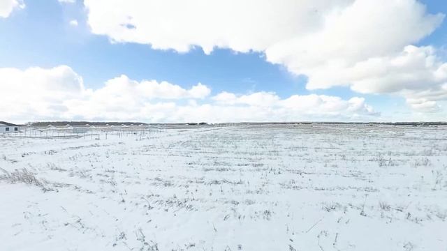 4855116, Новокаменский смотреть онлайн