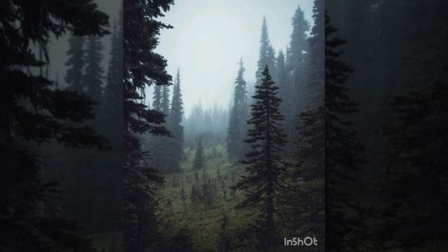 🎧 Бинауральные ритмы 40 Гц. ГАММА-волны. Учебная музыка.🎧 40 hz Binaural Beats. GAMMA Waves. смотреть онлайн