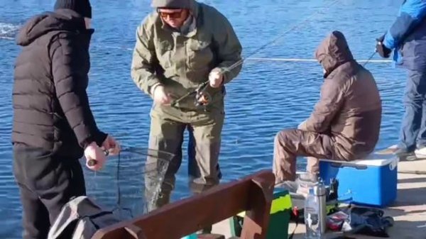 -4297889420851452403