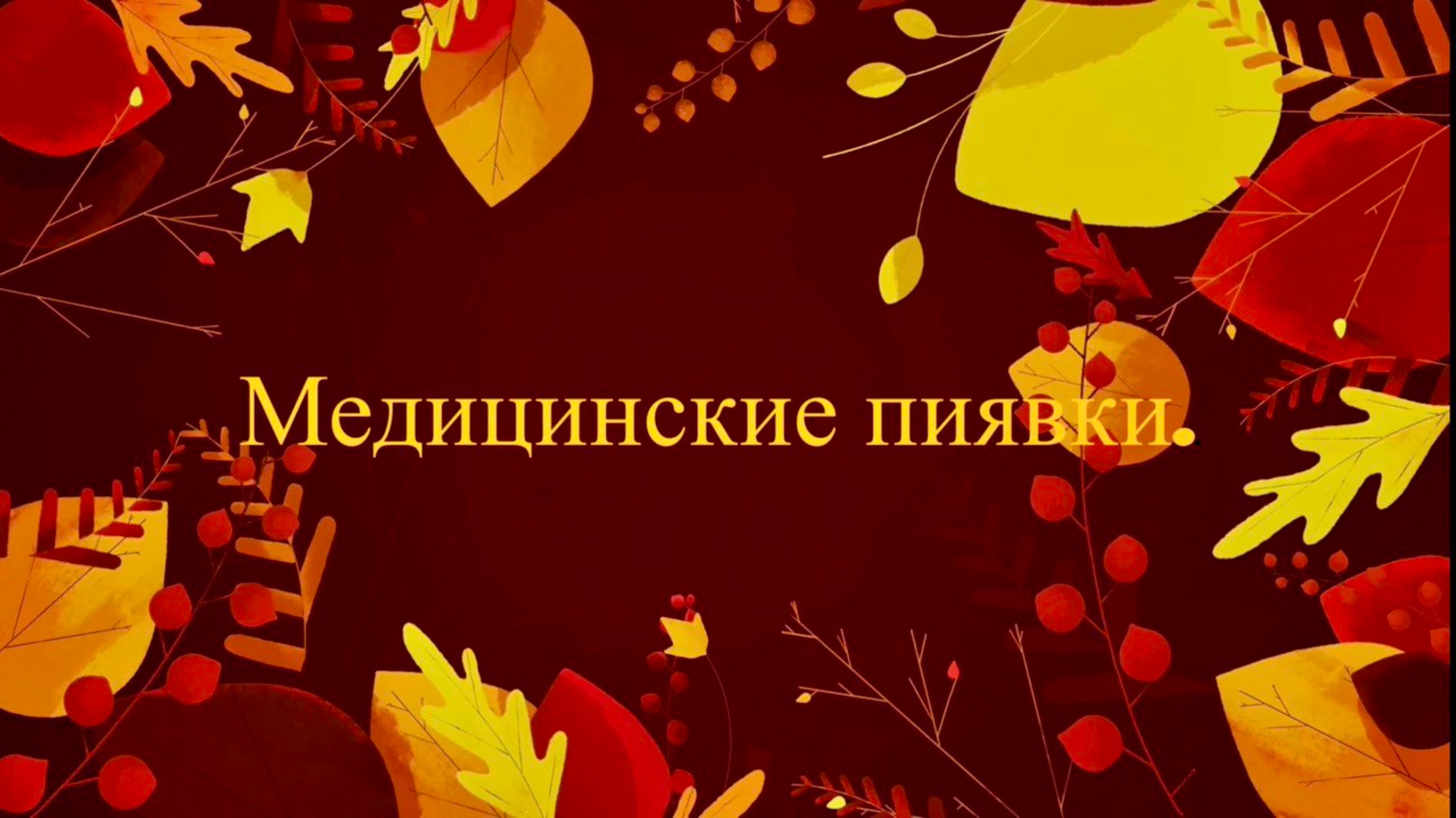 Пиявки и новые знания.