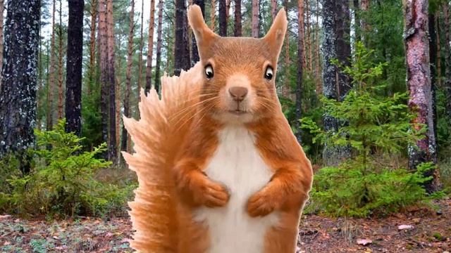 Пример героя праздника на экране. смотреть онлайн