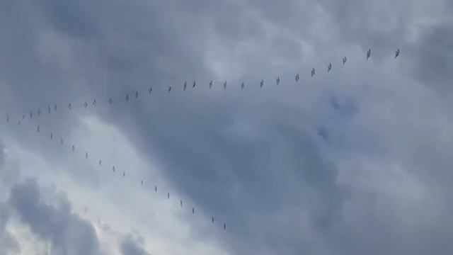 ЛЕТО ВЕРНЁТСЯ поёт М.Зорина смотреть онлайн