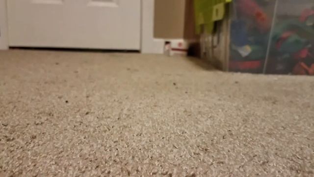 heroes of goo jit zu dino x ray shredz unboxing 'n reveiw смотреть онлайн