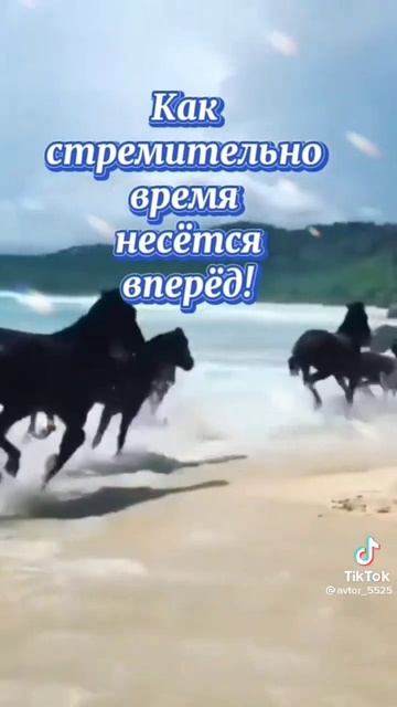 доброй ночи смотреть онлайн
