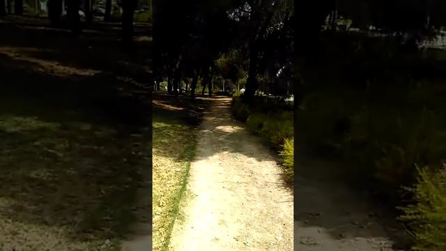 PN26 смотреть онлайн