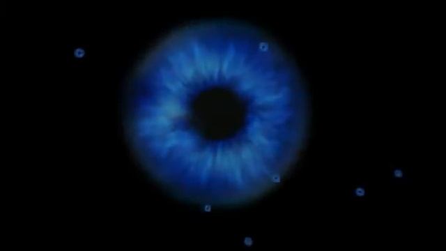 Blue iris смотреть онлайн