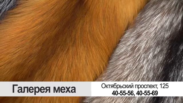ролик галерея меха смотреть онлайн