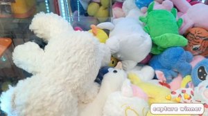 ЗАГРУЗКА В АППАРАТАХ telephone 🎰, ОГРОМНЫЙ БЕЛЫЙ МИШКА 🐻❄️+ играем в аппарате ХВАТАЙКА по 25₽