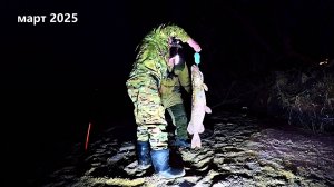 Ох-Ох-Охренительная Рыбалка на Хищника. Щука на Живца. Элитный Живец Премиум Класса Сделал  Рыбалку