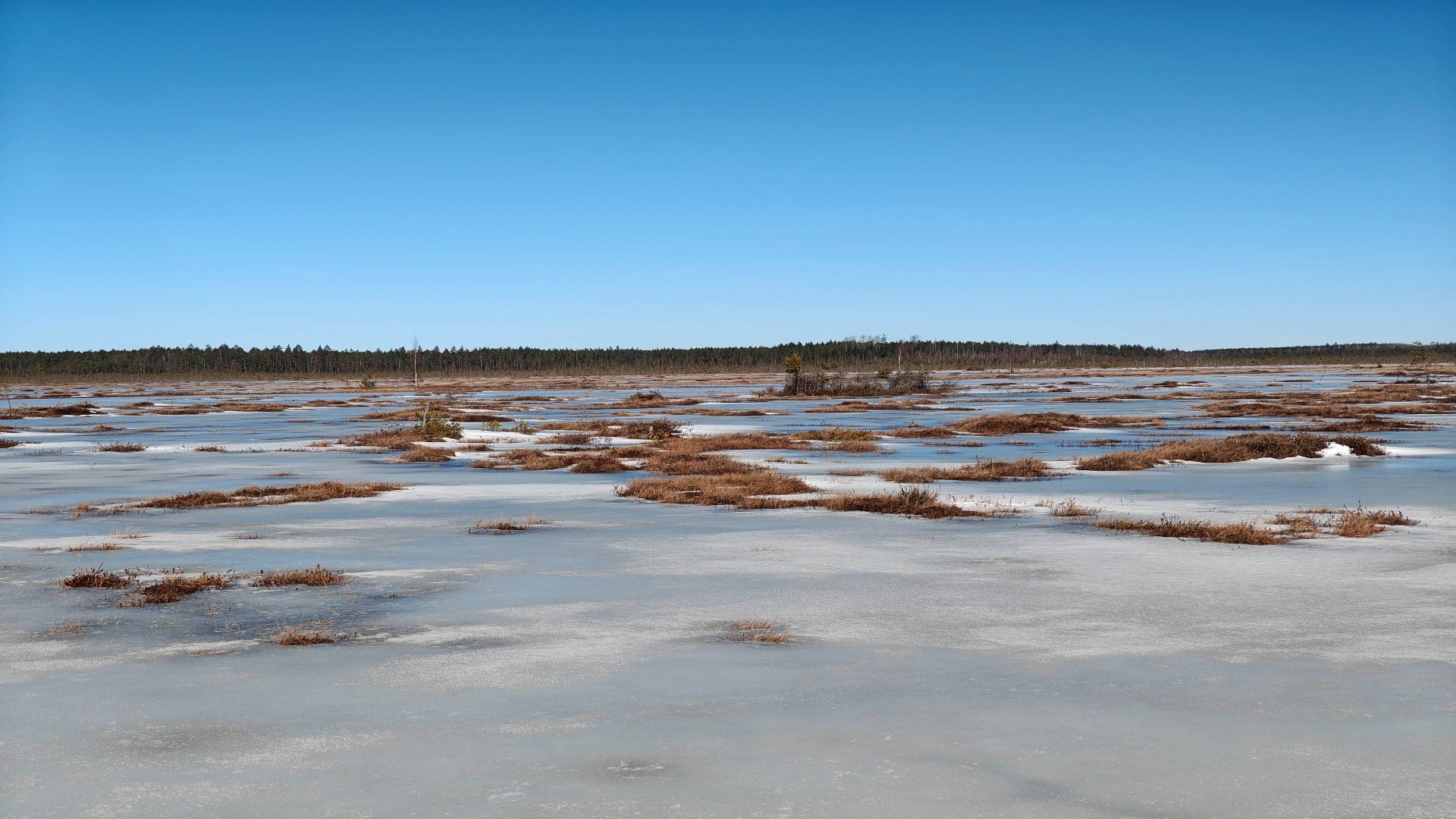 2025-03-22_Тойлук-Малукса