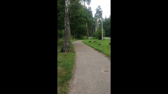 Прекрасные лавочки в лесополосе, для жителей города  #27 Орехово-Зуево