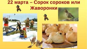 Сороки, Жаворонки