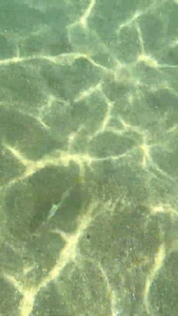 Рыбки плавают у ног на Пляже Нуи (Nui Beach) Пхукет смотреть онлайн