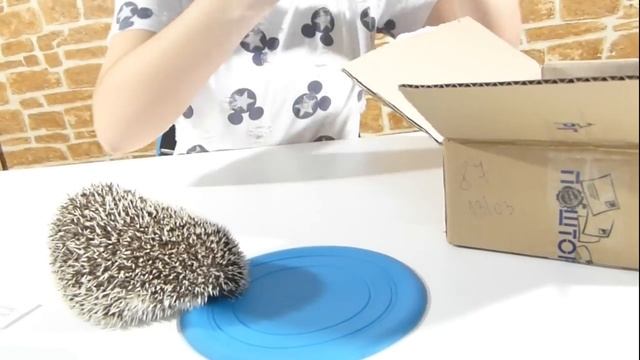 Unboxing/ Распаковка посылки от подписчицы! смотреть онлайн