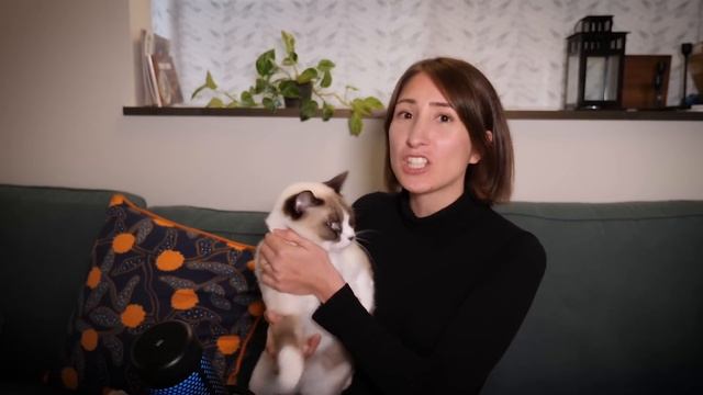 Замуж за японца! Честно об отношениях в Японии. смотреть онлайн